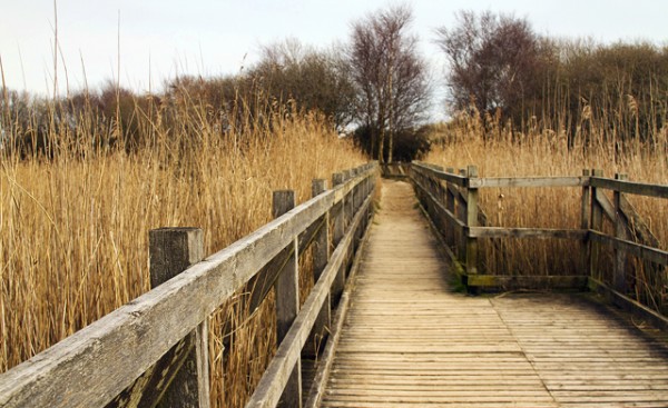 Bridge to Shell Beach